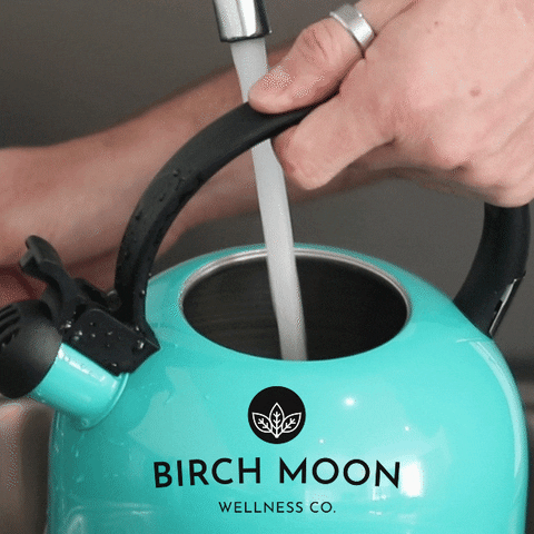 birchmoon water tea cup tea time GIF
