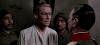 lawrence of arabia GIF by Maudit