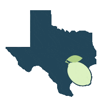 Galveston Matagorda Sticker by iResponze