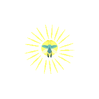 New Post Learn Sticker by OxEducation