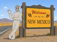 American Travel GIF by 1X Technologies