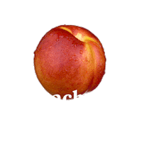 PeachesLA fruit la los angeles peach Sticker