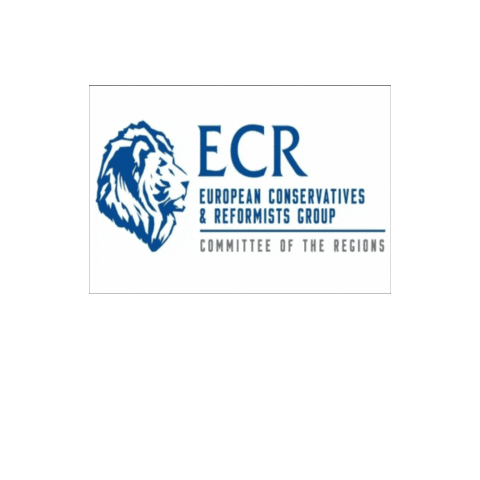 ECRCOR giphygifmaker eu cor european union Sticker