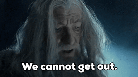 rakastettu lotr lord of the rings gandalf fellowship of the ring GIF