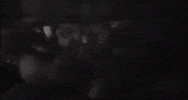 walk on water GIF by Blessthefall