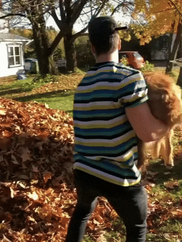 Dog Omg GIF by JustViral