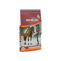 Saracen Shine Sticker by SaracenHorseFeeds