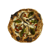 Naughtypizza naughty pizza naughtypizza Sticker