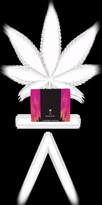 Slabman GIF by FRUIT SLABS