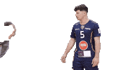 Volleyball Legrand Sticker by Reims Volley 51