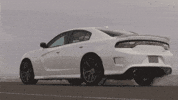 dodge GIF