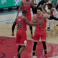 kris dunn nba GIF by Chicago Bulls