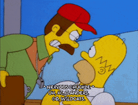 homer simpson episode 6 GIF
