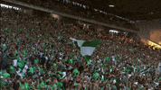 fans flag GIF by AS Saint-Etienne