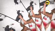 Msumxctf GIF by MSUM Dragons