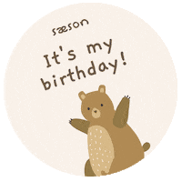 Birthday Milestone Sticker by BestBabyEssentials