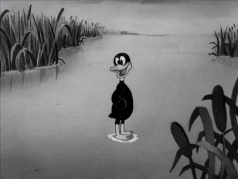 BobHope666 giphyupload daffy duck GIF