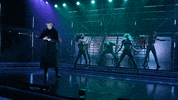 GIF by segalcentre