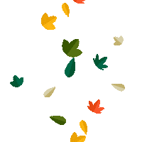 South Florida Fall Sticker by University of South Florida