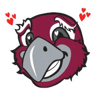 Valentines Day Love Sticker by Roanoke College