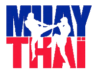 Muaythai Powerfit Sticker by Academia Power Fit