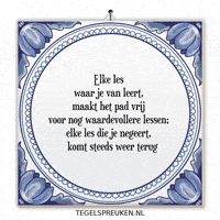 Humor Nl GIF by Tegelspreuken.nl