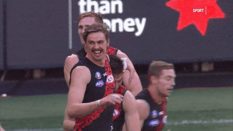 aussie rules smile GIF by Essendon FC