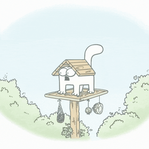 Bird Lol GIF by Simon's Cat
