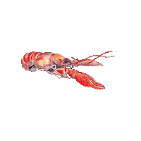 Elguapobitters cocktail eg mocktail crawfish Sticker