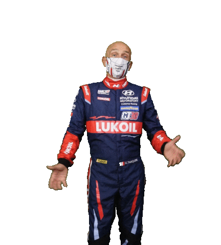 Gabriele Tarquini Motorsport Sticker by FIA World Touring Car Cup