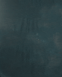 Major League Soccer Sport GIF by Timbers