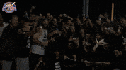 EvansvilleOtters happy fun excited celebrate GIF