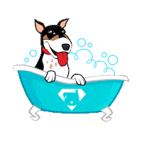 Bali Cacau Sticker by Bono Surf Dog