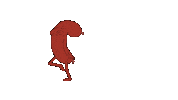 dance dog Sticker