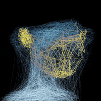 LineApeClub obscure line ape club obscure prints line apes GIF