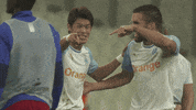 football celebration GIF by Olympique de Marseille