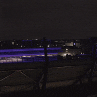 Horned Frogs Gofrogs GIF by TCU Athletics