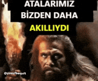 Shitpost GIF