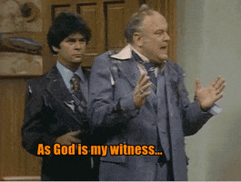 TV gif. Gordon Jump as Arthur and Frank Bonner as Herb in WKRP in Cincinnati stand in a doorway wearing torn and disheveled suits. Arthur says, “As God is my witness… I thought turkeys could fly.”