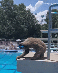 Mood Friday GIF by Darwin