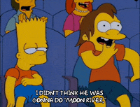 bart simpson episode 20 GIF