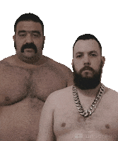 Gay Bear Sticker by Database數據