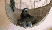 wassup GIF