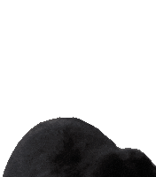 Holland Lop Reaction Sticker by As The Bunny Hops