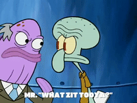 season 5 GIF by SpongeBob SquarePants