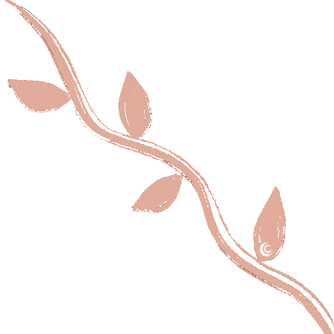 laelleci giphyupload new instagram nature Sticker