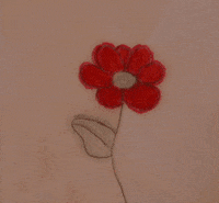 kids flower GIF