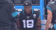 Regular Season Football GIF by NFL