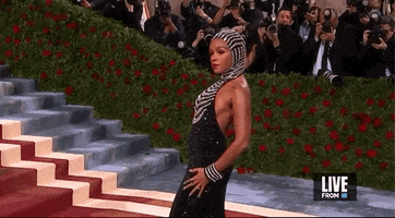 Janelle Monae GIF by E!