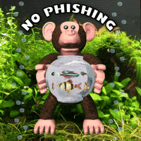 Monkey Fishbowl GIF